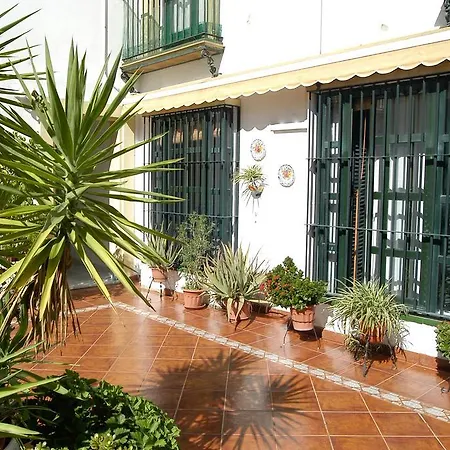 Olivos Jerez