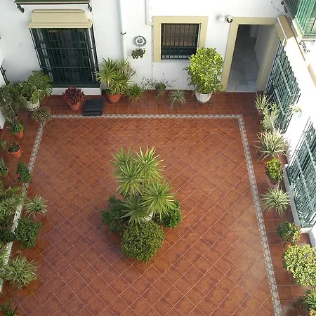 Olivos Jerez דירה *